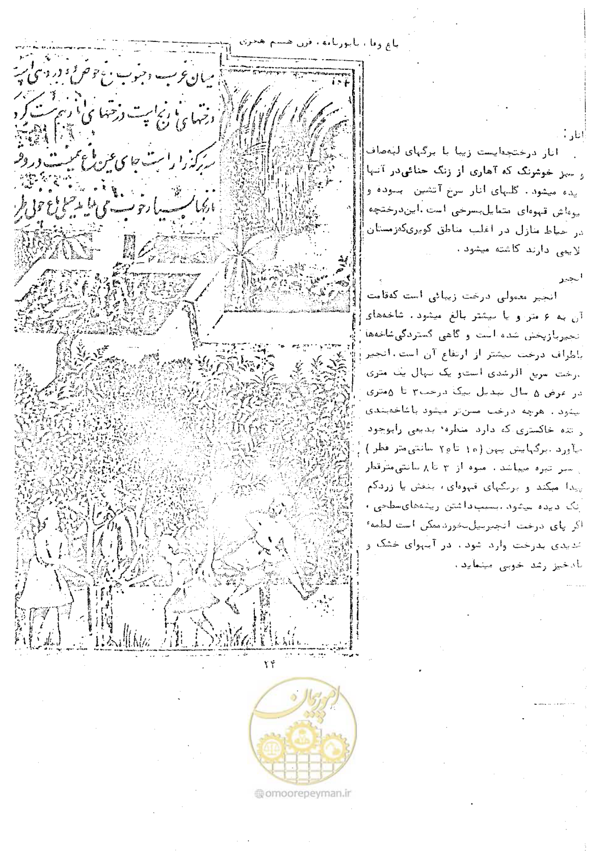 صفحه 30 از 118