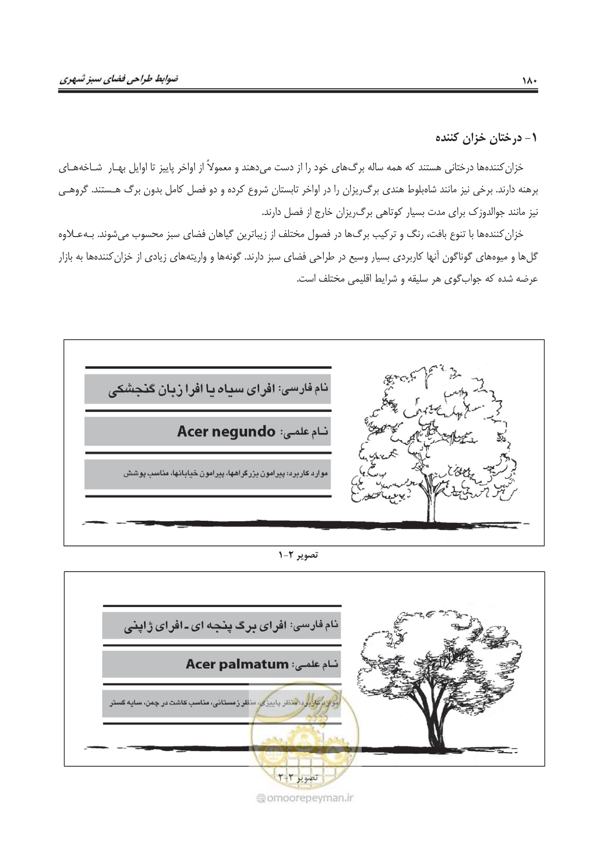 صفحه 204 از 260