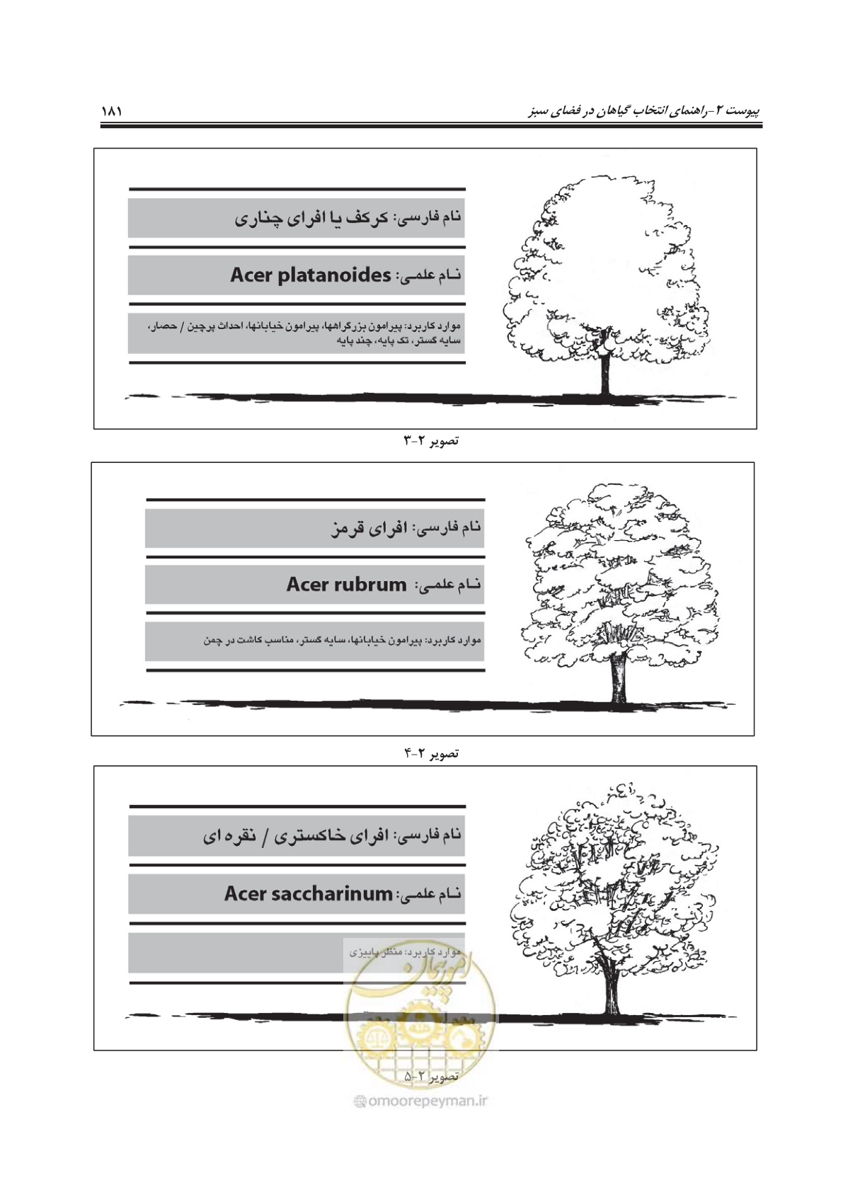 صفحه 205 از 260