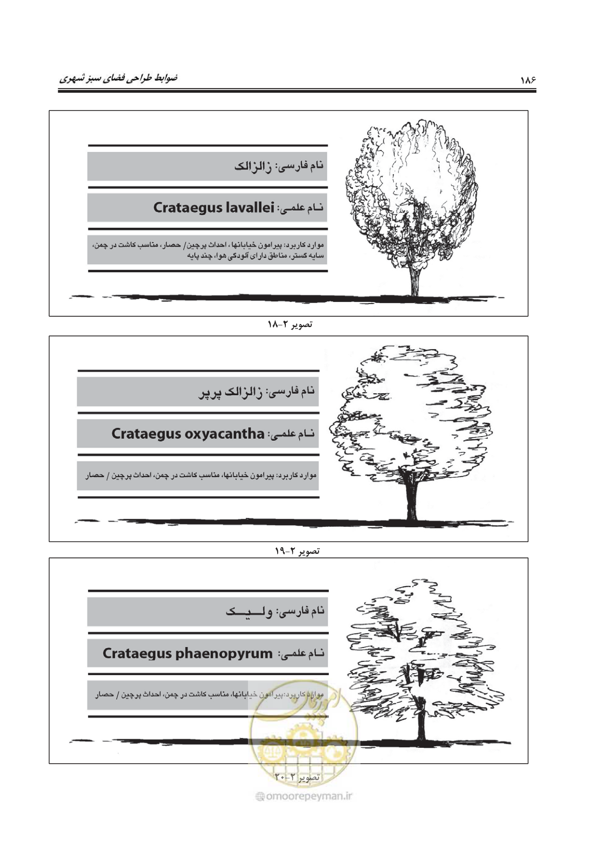 صفحه 210 از 260