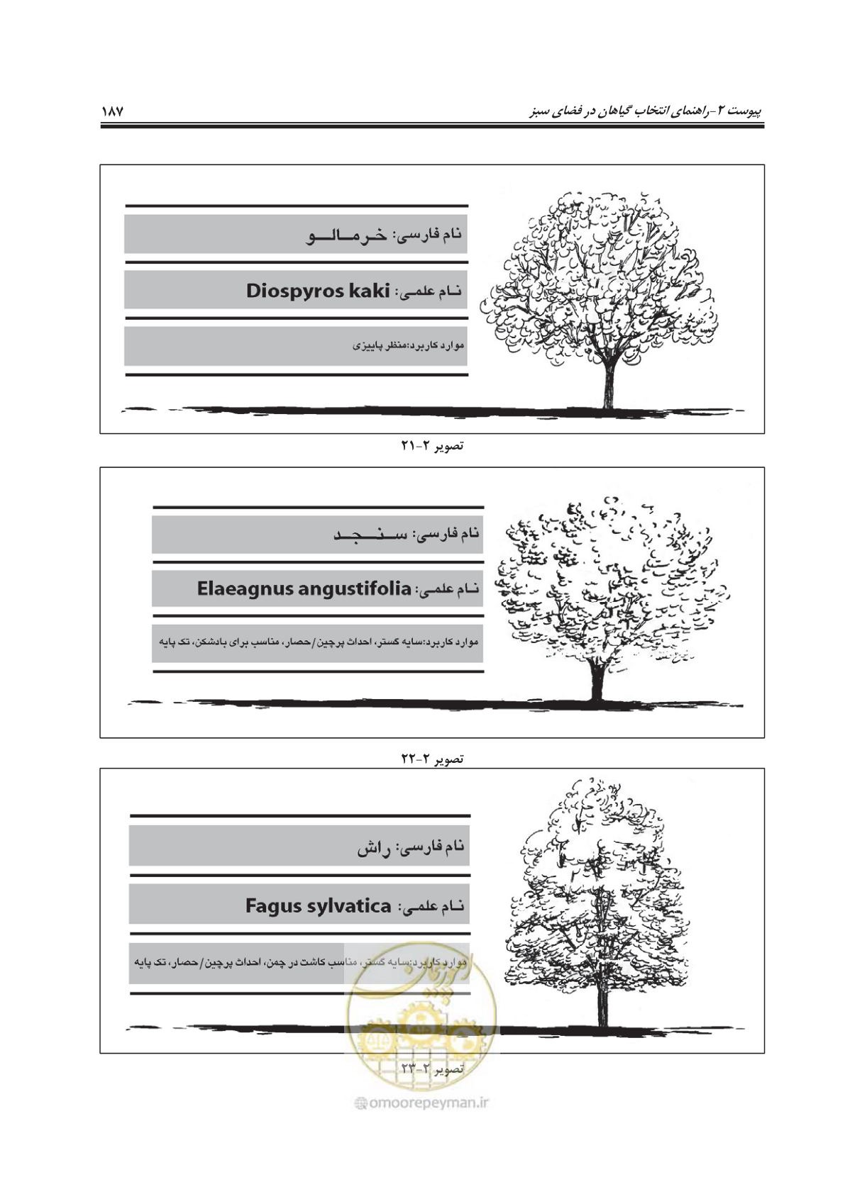صفحه 211 از 260