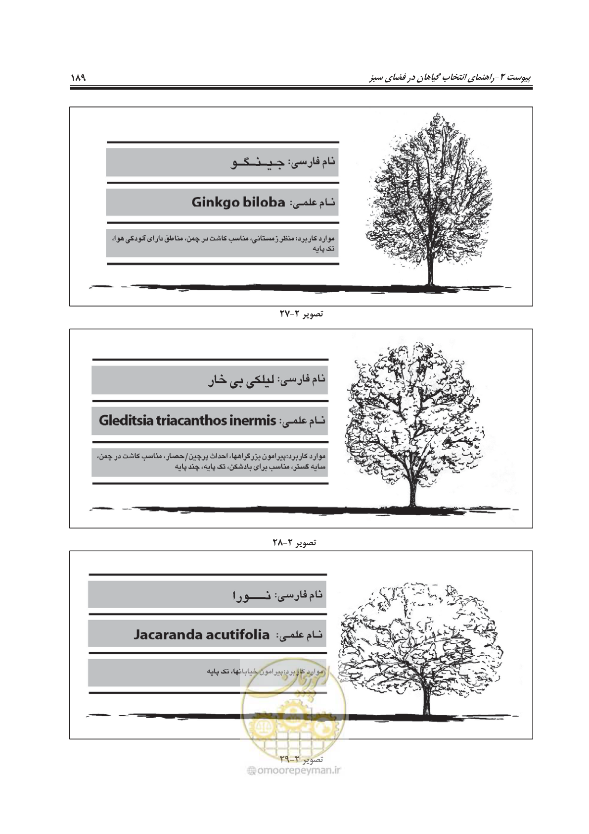 صفحه 213 از 260