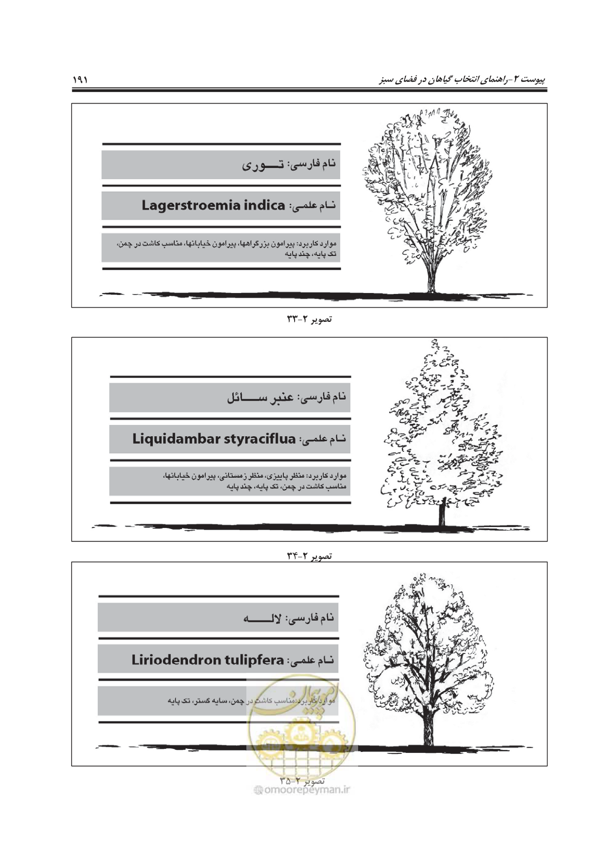 صفحه 215 از 260
