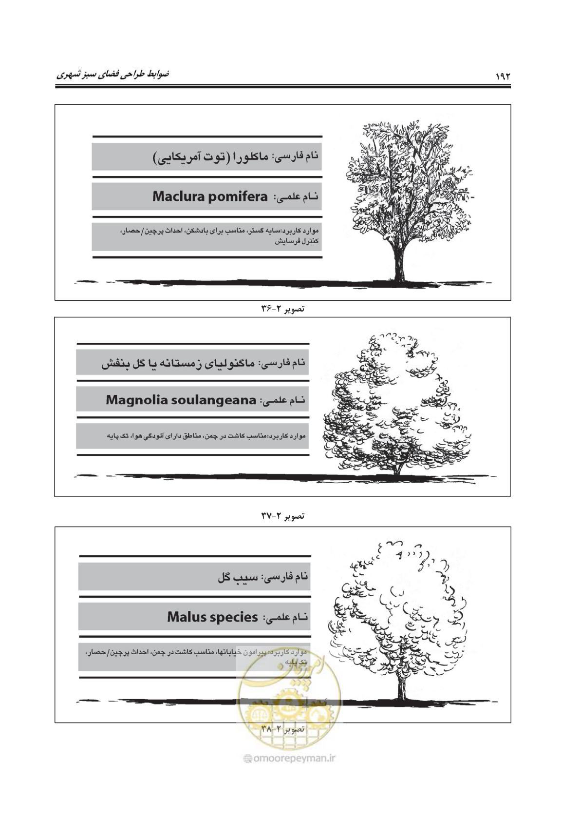 صفحه 216 از 260