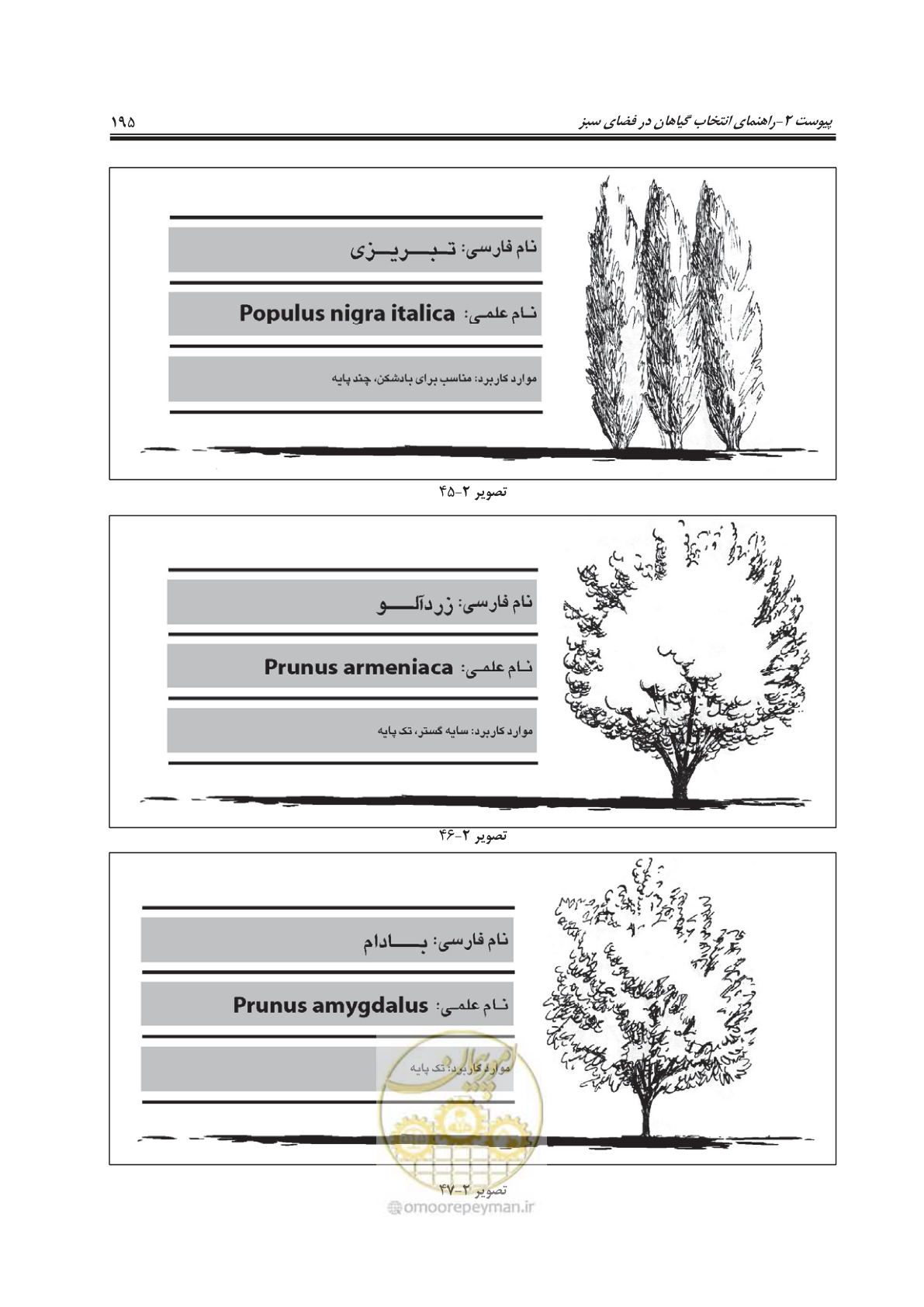 صفحه 219 از 260