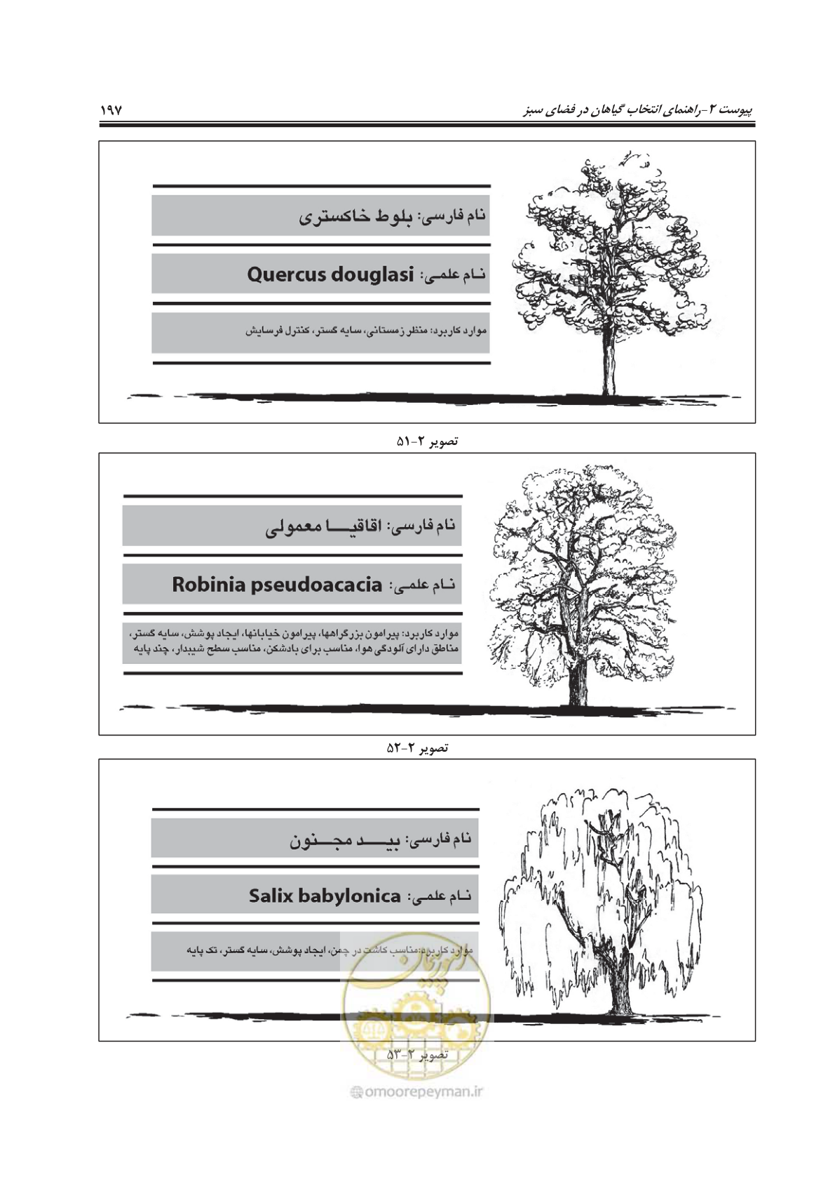 صفحه 221 از 260