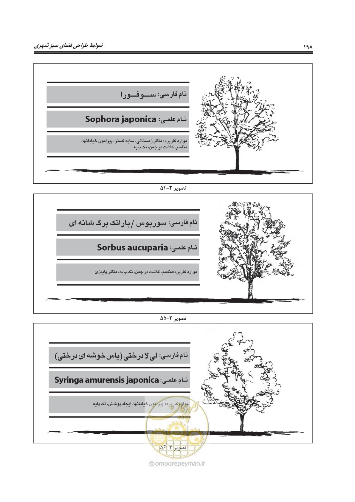 صفحه 222 از 260