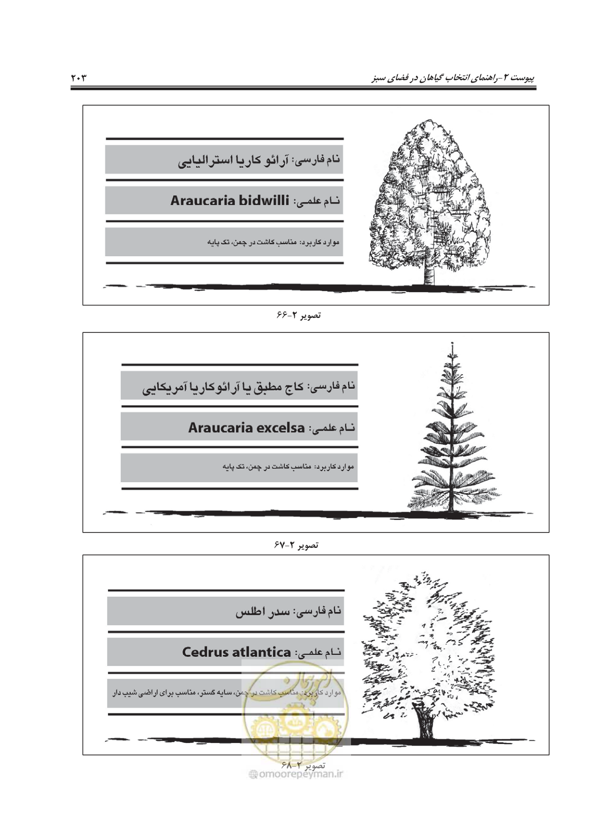 صفحه 227 از 260