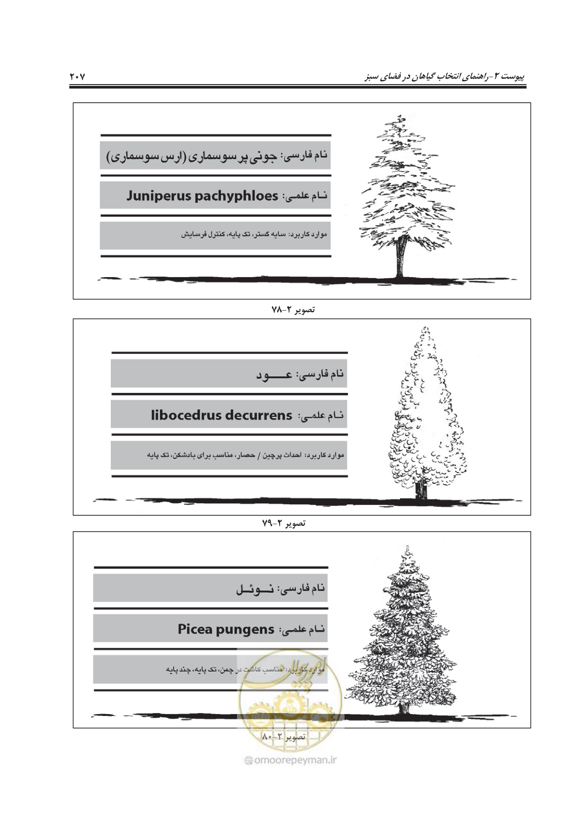 صفحه 231 از 260
