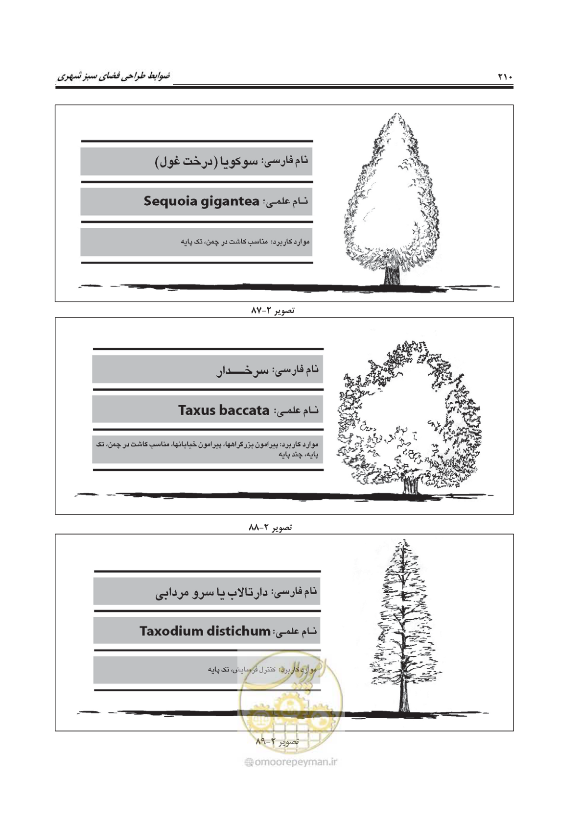 صفحه 234 از 260