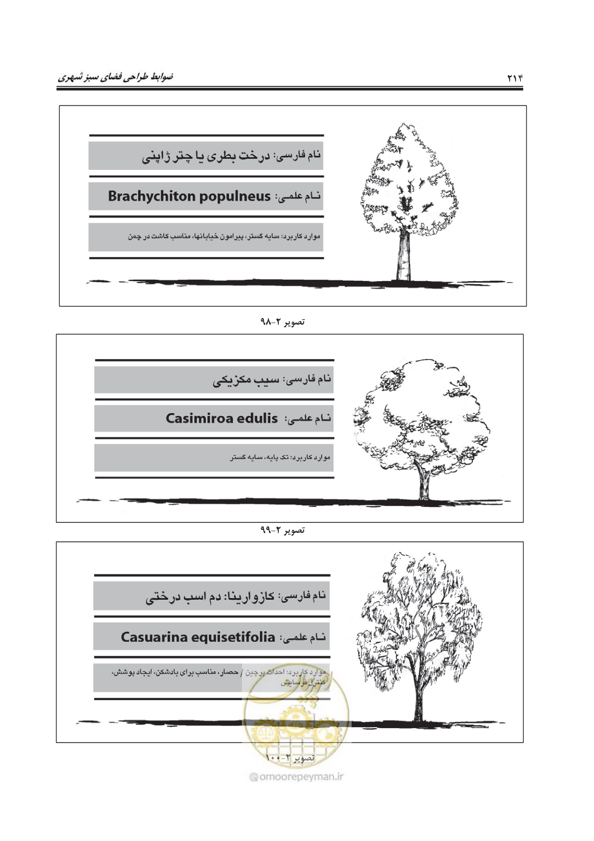 صفحه 238 از 260