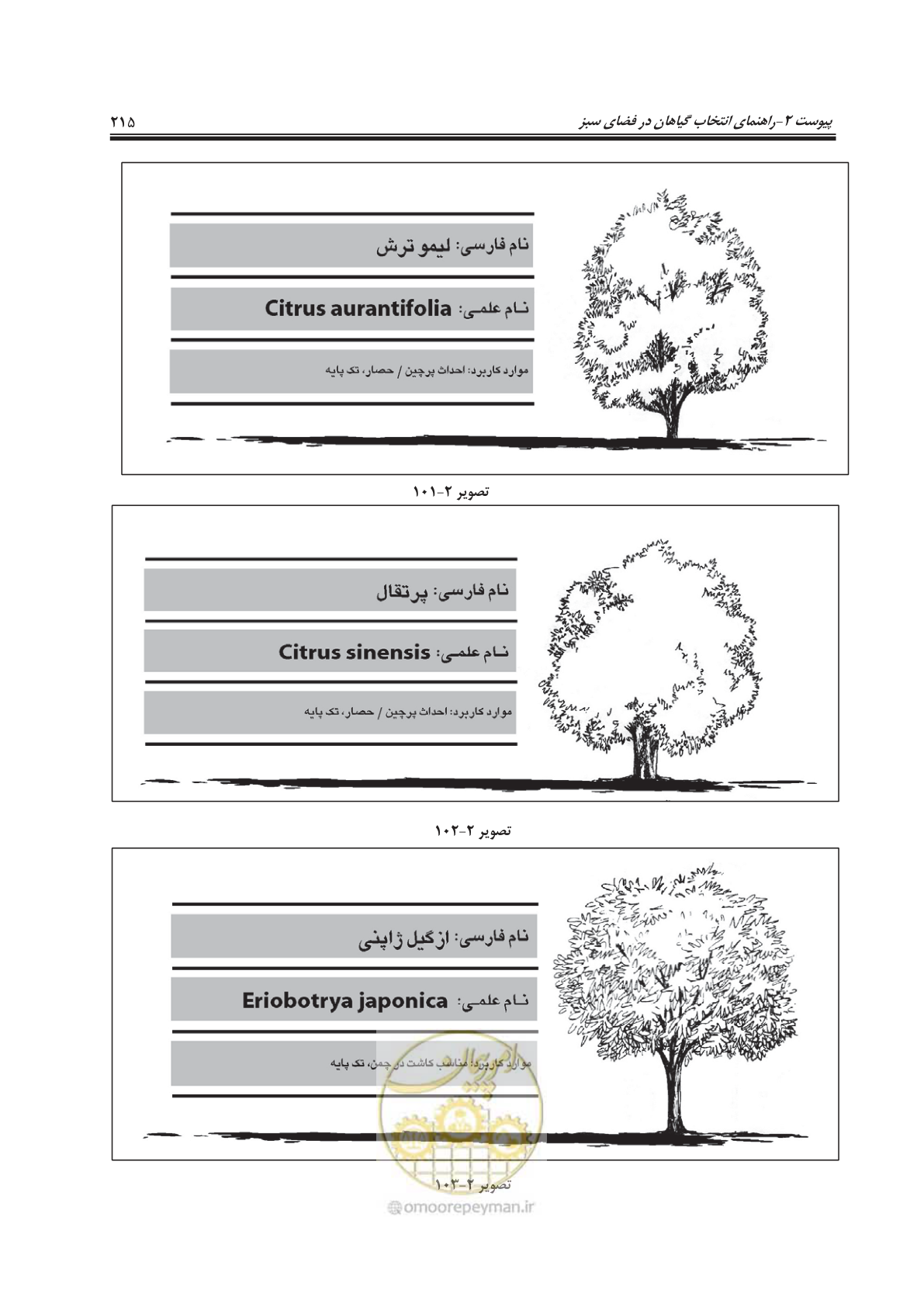 صفحه 239 از 260