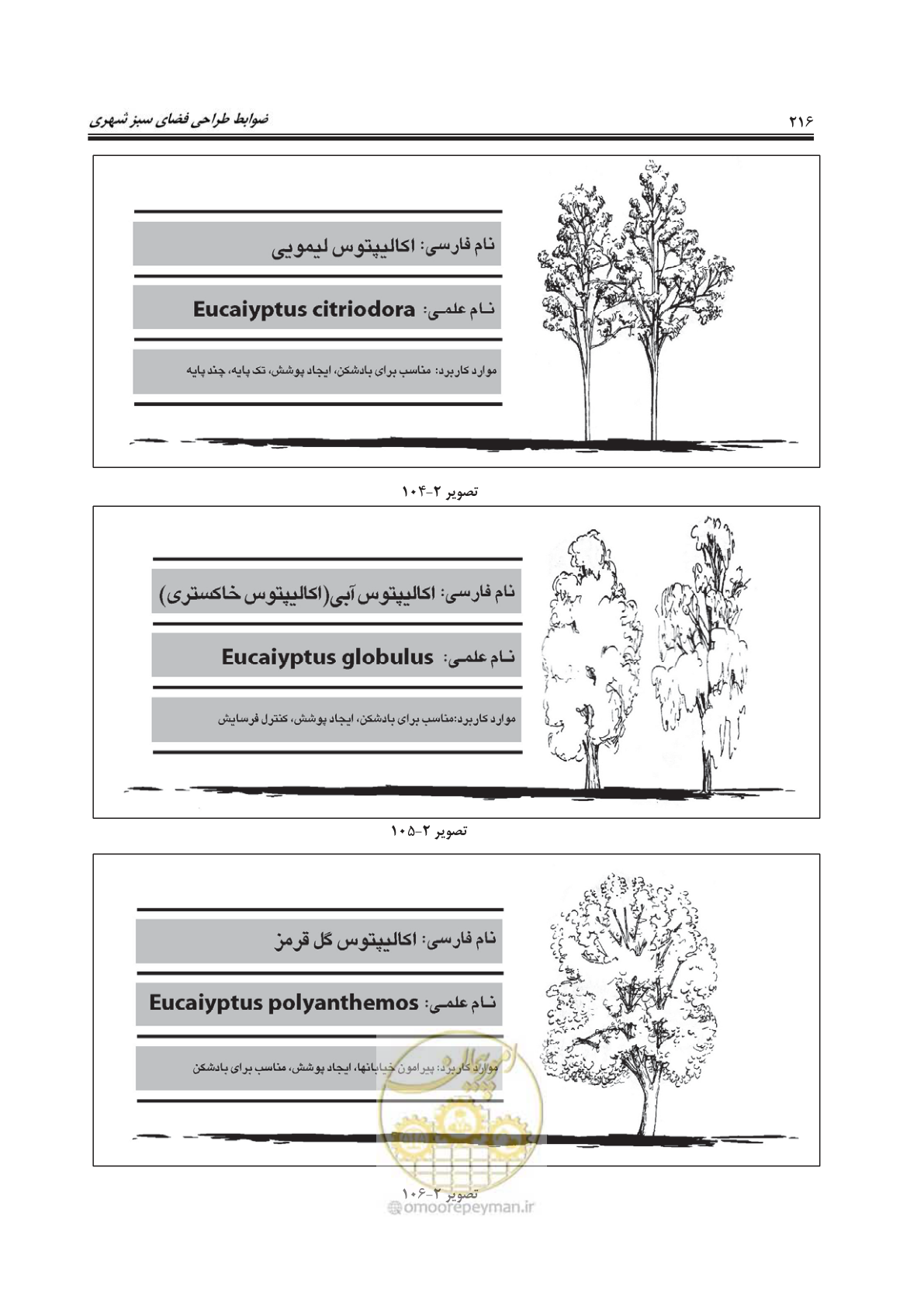 صفحه 240 از 260