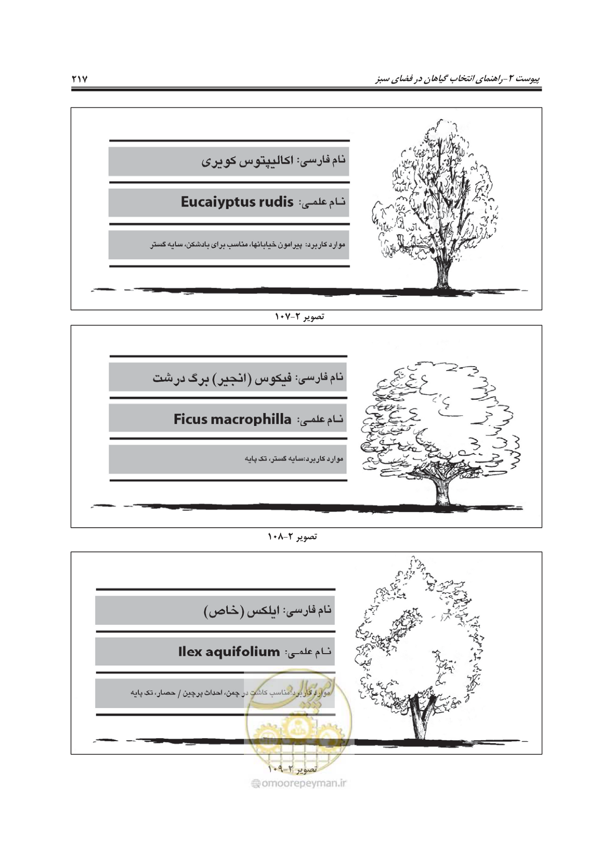 صفحه 241 از 260