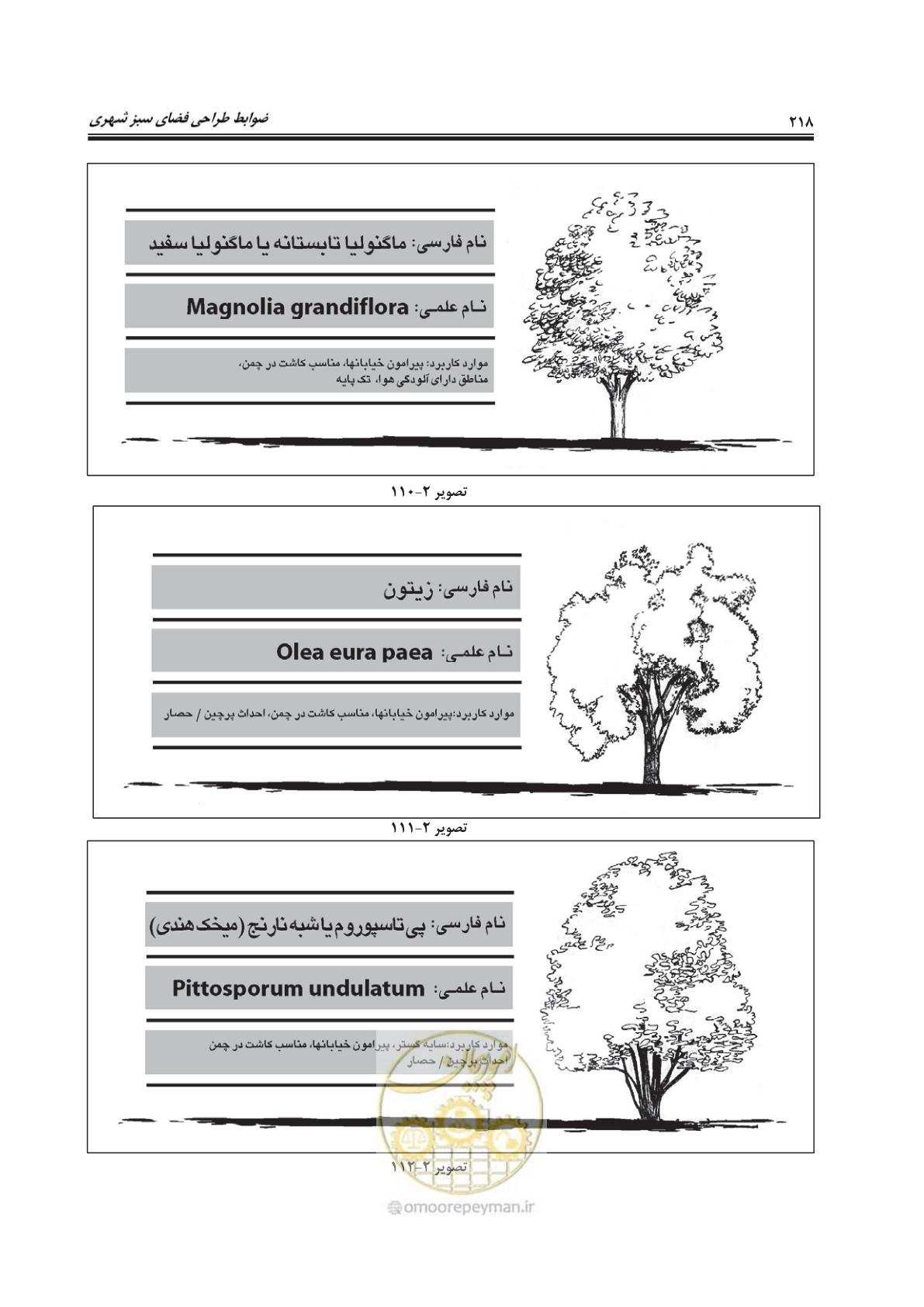 صفحه 242 از 260