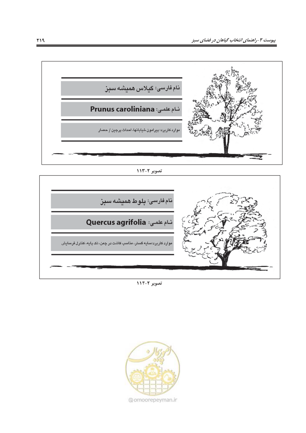 صفحه 243 از 260