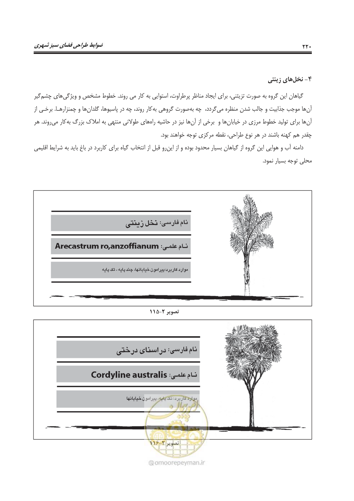 صفحه 244 از 260