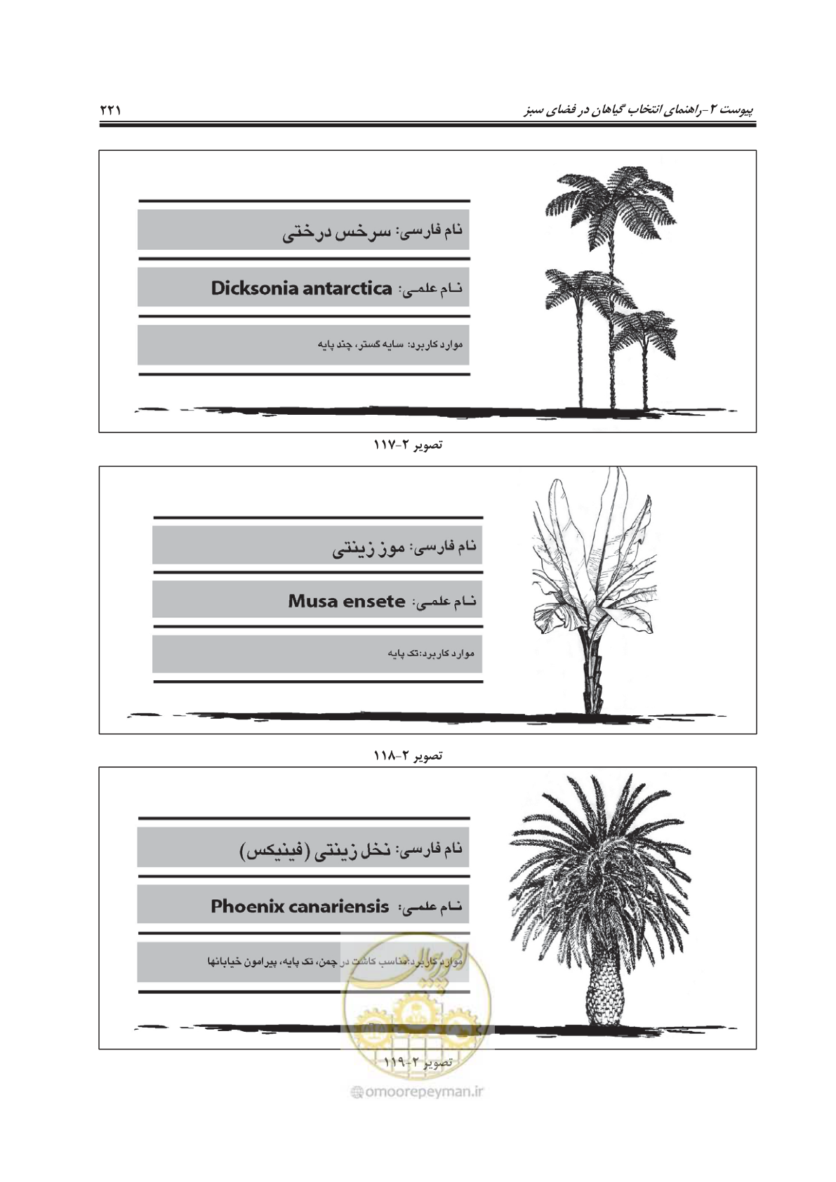 صفحه 245 از 260
