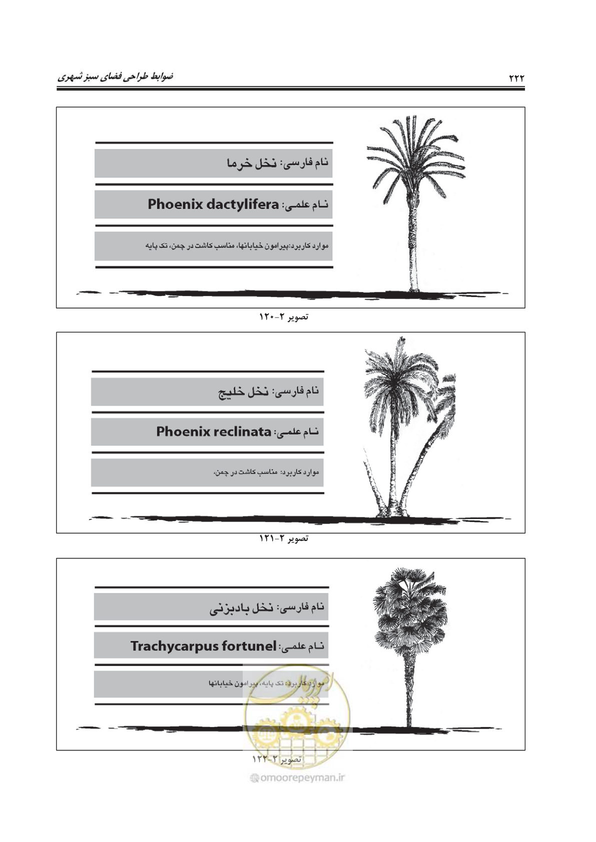 صفحه 246 از 260