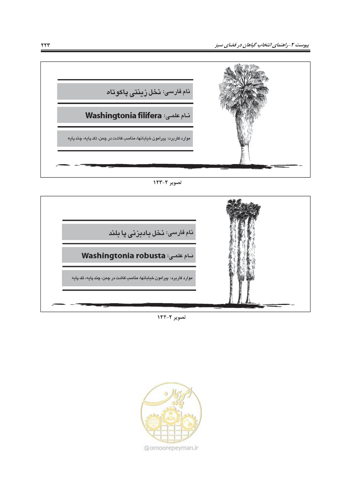 صفحه 247 از 260