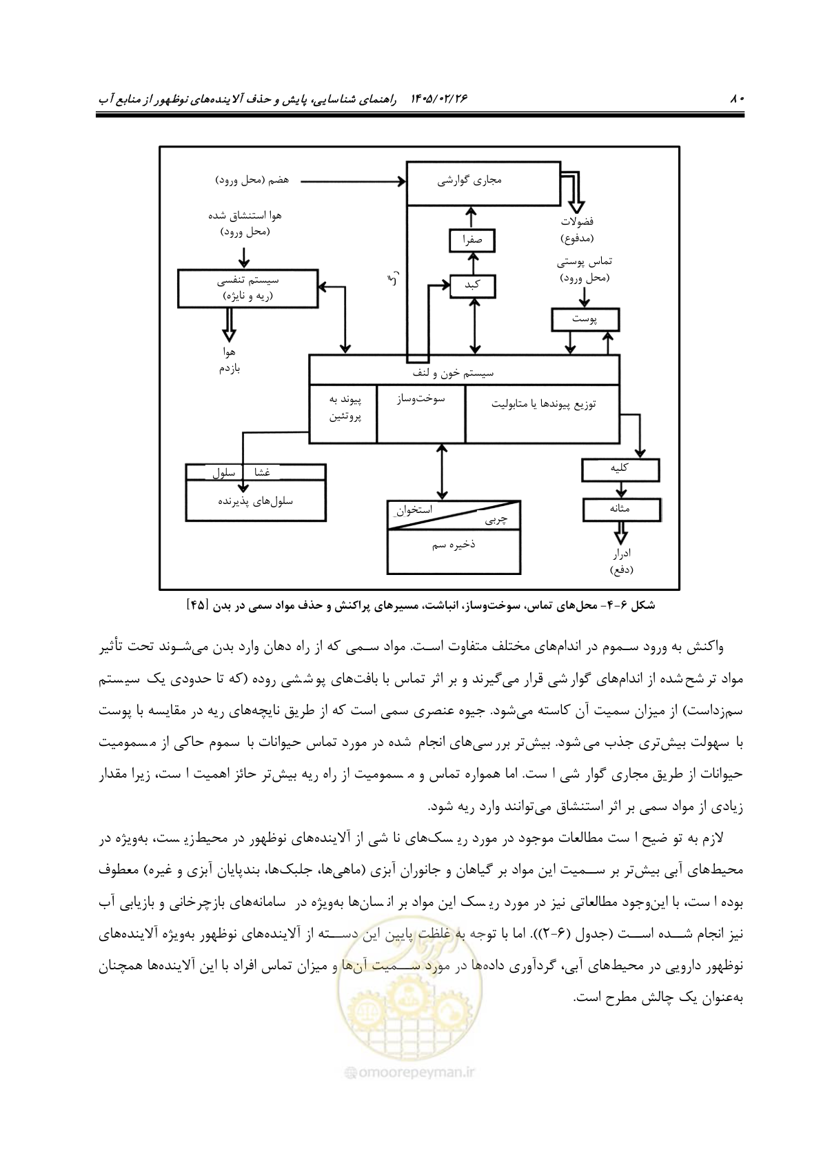 صفحه 92 از 205