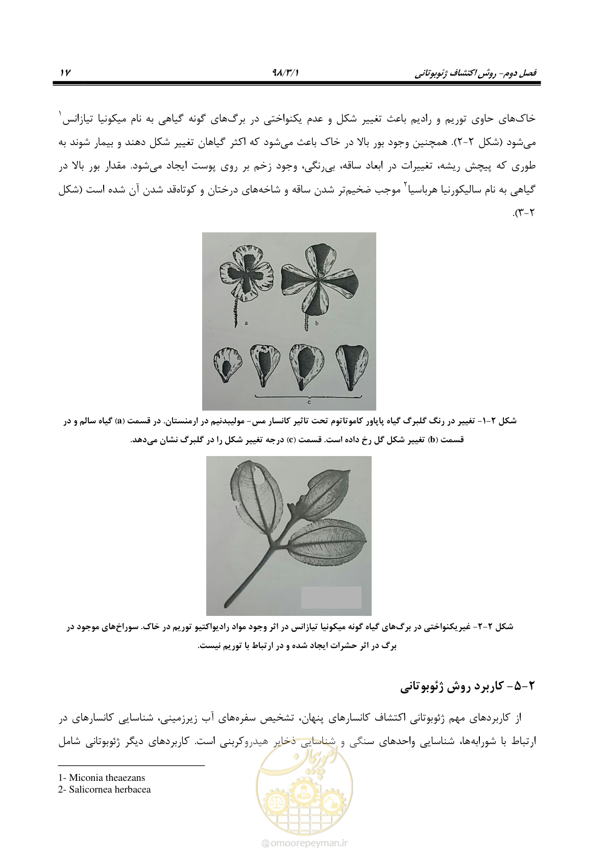 صفحه 28 از 58